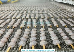 Frozen Raw PD And PDTO Skewer Vannamei Shrimp on IQF Line in Vietnam