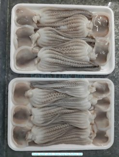 Vietnam Frozen Whole Clean Poulp Squid Long Leg Before IQF