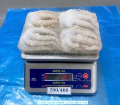 Vietnam Frozen Whole Clean Octopus After IQF Freezing