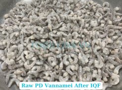 Vietnam Frozen Raw Pd Vannamei Shrimp After IQF Freezing
