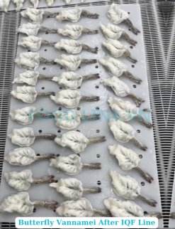 IQF-Frozen Raw PDTO Butterfly Vannamei Shrimp Processed in Vietnam