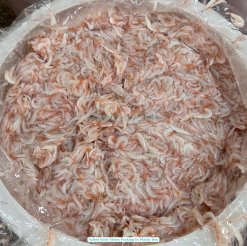 Inspecting salted baby shrimp quality in Vietnam before packing