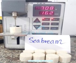 GS test to check firmness of Vietnam Frozen Seabream Surimi