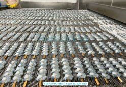 Vietnam Frozen Raw PD And PDTO Skewer Black Tiger Shrimp on IQF Conveyor