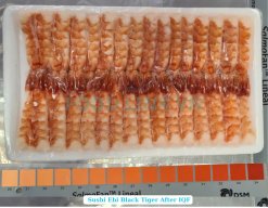 Vietnam Frozen Sushi Ebi Black Tiger Shrimp After IQF Freezing