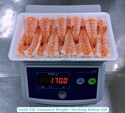 Frozen Sushi Ebi Vannamei Shrimp Before Vacuumed Tray From Vietnam