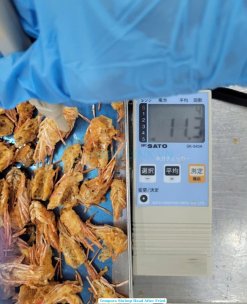 Moisture Control for Vietnam Tempura Shrimp Heads During QC