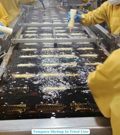 Frozen Tempura Shrimp Production Line in Vietnam Factory