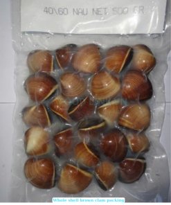 Frozen Cooked Whole Shell Brown Clam vacuum packing in Vietnam