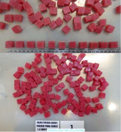 Vietnam Frozen Yellowfin Tuna Cube After Steak Cutting Stage
