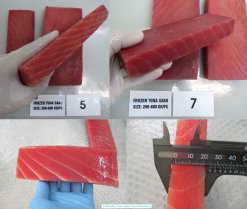 Vietnam Frozen Yellowfin Tuna Saku After Cutting into Blocks