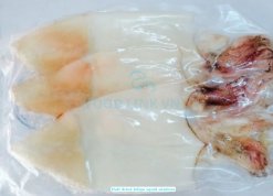Half dried Loligo Squid skinless vacuum packed in Vietnam