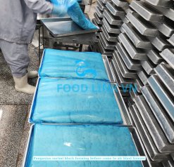Frozen Pangasius Surimi 10kg blocks bagged in Vietnam