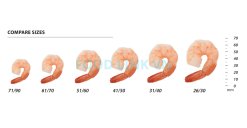 Vietnam Frozen Cooked PDTO Vannamei Shrimp – Size Comparison