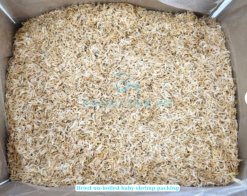 Dried Baby Shrimp un-boiled packed in cartons in Vietnam