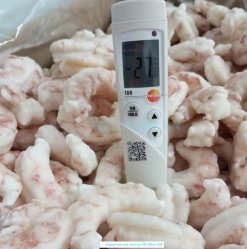Vietnam Frozen Argentina Red Shrimp After First IQF Process