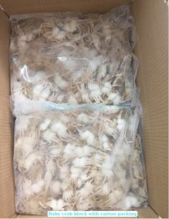 Vietnam Frozen Baby Crab block packed into export cartons