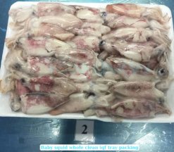 Vietnam Frozen Whole Clean Baby Loligo Squid After IQF Processing