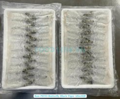 Vietnam Frozen Raw PDTO Butterfly Black Tiger Shrimp After IQF Freezing