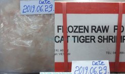 Export-Ready Vietnam Frozen Raw HLSO And PD Cat Tiger Shrimp in Cartons