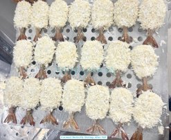 Vietnam Frozen Coconut Butterfly And PDTO Shrimp After IQF – Packing Ready
