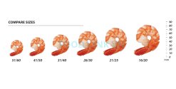 Vietnam Frozen Cooked PDTO Black Tiger Shrimp Size Comparison