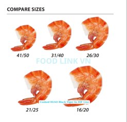Frozen Cooked HLSO and HLSO EZP Black Tiger Shrimp Size Comparison – Vietnam