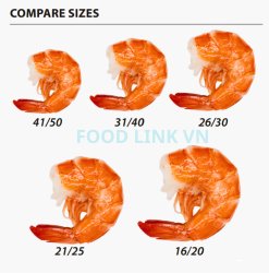 Frozen Cooked HLSO and HLSO EZP Vannamei Shrimp Size Comparison in Vietnam