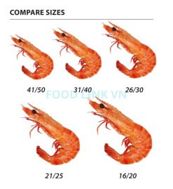 Vietnam Frozen Cooked HOSO Black Tiger Shrimp Size Comparison