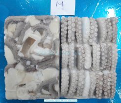 Vietnam Frozen Cut Poulp Squid Block (Mada Cut) IQF Size M
