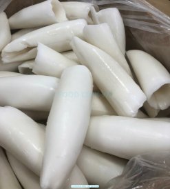 Vietnam Frozen Cuttlefish Fillet Roll Packed in Export Cartons