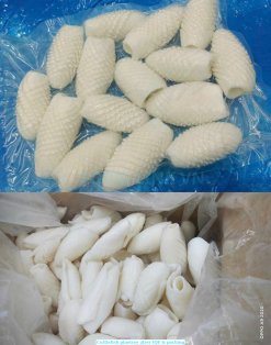 Vietnam Frozen Cuttlefish Fillet Pine Tree Cut Packed After IQF