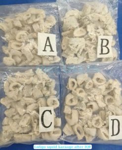 Vietnam Frozen Loligo Squid Ring Karaage Vacuum Packed for Export