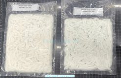 Vietnam Frozen Loligo Squid Somen Packed in Retail Bag