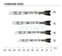 Vietnam Frozen Nobashi Black Tiger Shrimp Size Comparison