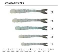 Frozen Nobashi Vannamei Shrimp Size Comparison – Vietnam Export Quality