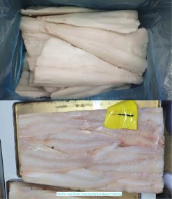 Frozen Atlantic And Pacific Cod block and IQF packed in cartons produced in Vietnam