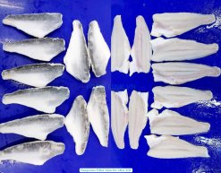 Frozen Pangasius Fillet Skin On After IQF Process in Vietnam