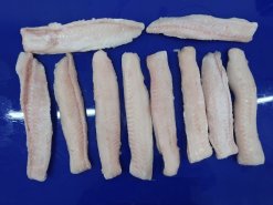 Frozen Pangasius Loin After IQF Processing in Vietnam (2)
