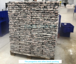Vietnam Frozen Pangasius Skin After IQF Freezing – Sample 1