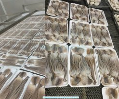 Vietnam Frozen Whole Clean Poulp Squid Long Leg on IQF Conveyor