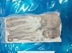 Vietnam Frozen Whole Clean Octopus Packed in Tray and Bag
