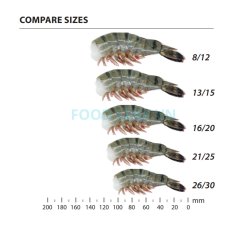 Vietnam Frozen Raw HLSO And HLSO EZP Black Tiger Shrimp Size Comparison