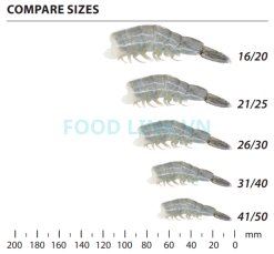 Size Comparison of Frozen Raw Hlso Vannamei Shrimp (EZP) from Vietnam