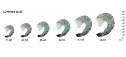 Vietnam Frozen Raw PD Black Tiger Shrimp Size Comparison