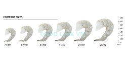 Size Comparison of Frozen Raw Pd Vannamei Shrimp from Vietnam