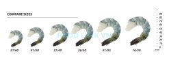 Vietnam Frozen Raw PDTO Black Tiger Shrimp Size Comparison