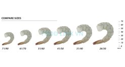 Frozen Raw Pdto Vannamei Shrimp Size Comparison – Vietnam Export