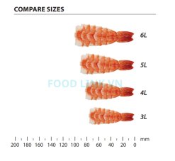 Vietnam Frozen Sushi Ebi Black Tiger Shrimp Size Comparison