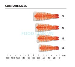 Frozen Sushi Ebi Vannamei Shrimp Size Comparison from Vietnam